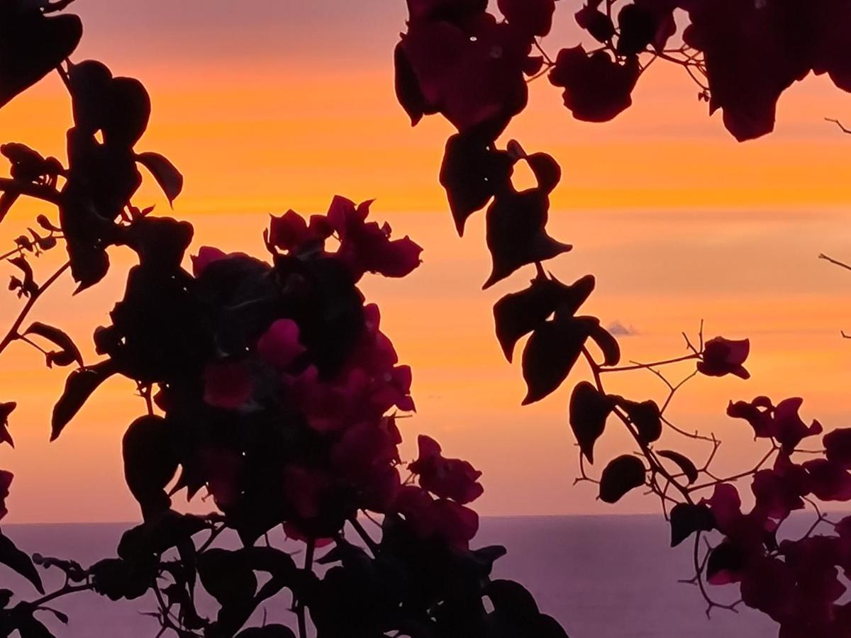 “Cielo E Mare”, Casetta Nel Cuore Del Borgo Antico / “Sky & Sea”, Charming In The Heart Of Old Village Castelsardo Buitenkant foto